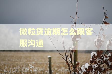 微粒贷逾期怎么跟客服沟通