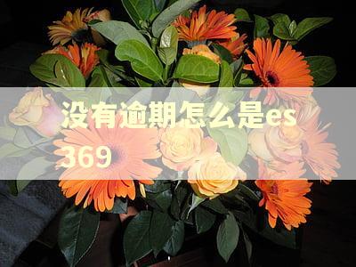没有逾期怎么是es369