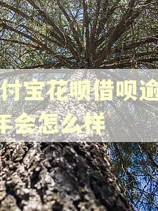 支付宝花呗借呗逾期1年会怎么样