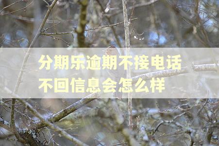 分期乐逾期不接电话不回信息会怎么样 分期乐逾期不接电话不回信息会怎么样