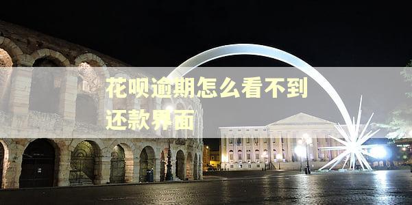 花呗逾期怎么看不到还款界面