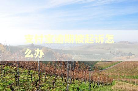 支付宝逾期被起诉怎么办