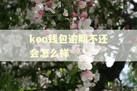 koo钱包逾期不还会怎么样