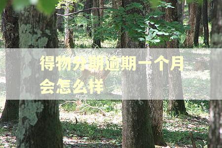 得物分期逾期一个月会怎么样