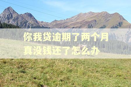 你我贷逾期了两个月真没钱还了怎么办