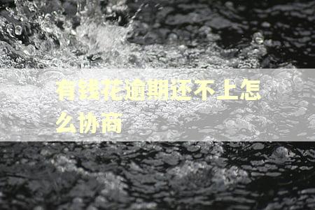 有钱花逾期还不上怎么协商