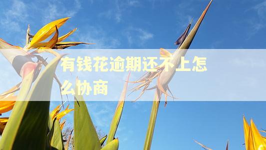有钱花逾期还不上怎么协商 有钱花逾期还不上怎么协商