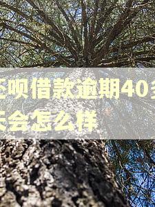 还呗借款逾期40多天会怎么样 还呗借款逾期40多天会怎么样
