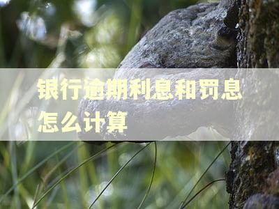 银行逾期利息和罚息怎么计算 银行逾期利息和罚息怎么计算