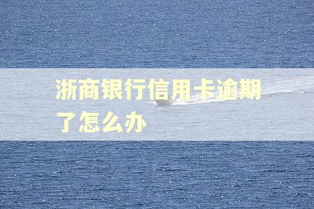 浙商银行信用卡逾期了怎么办