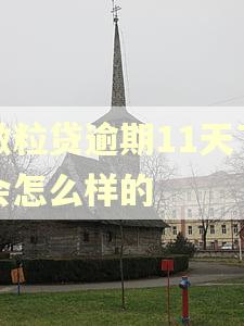微粒贷逾期11天了会怎么样的