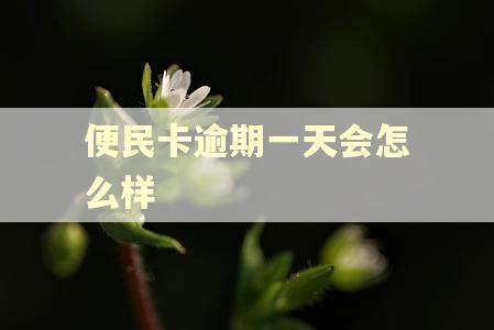 便民卡逾期一天会怎么样