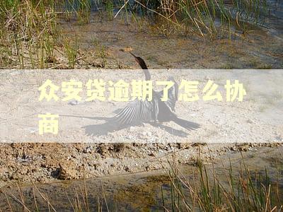 众安贷逾期了怎么协商