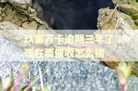 玖富万卡逾期三年了现在要催收怎么搞
