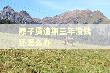 原子贷逾期三年没钱还怎么办