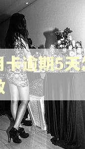 信用卡逾期5天怎么补救
