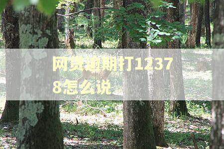 网贷逾期打12378怎么说