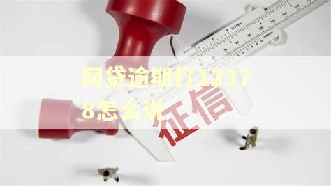 网贷逾期打12378怎么说