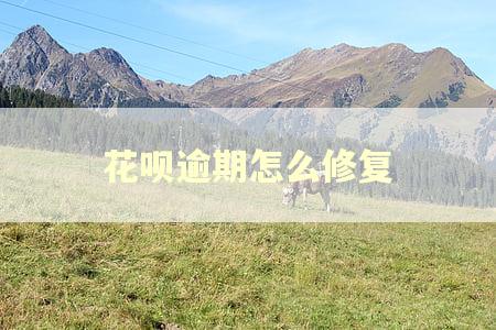 花呗逾期怎么修复