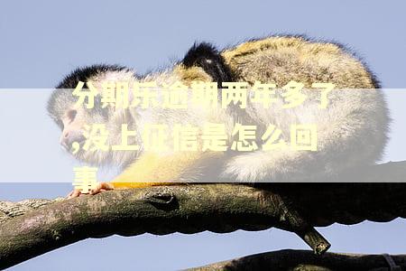 分期乐逾期两年多了,没上征信是怎么回事