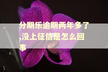 分期乐逾期两年多了,没上征信是怎么回事