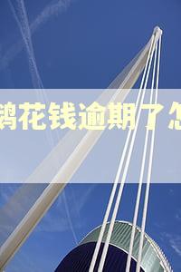 小鹅花钱逾期了怎么办