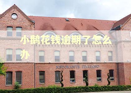 小鹅花钱逾期了怎么办