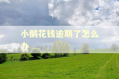 小鹅花钱逾期了怎么办