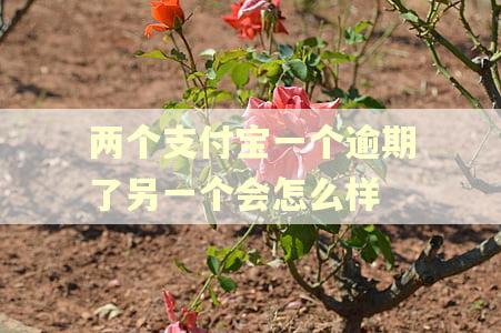 两个支付宝一个逾期了另一个会怎么样