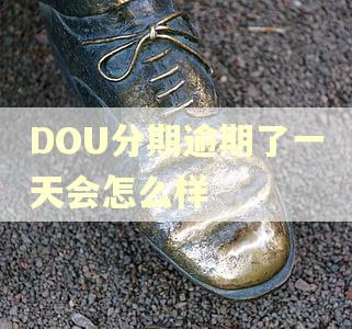 DOU分期逾期了一天会怎么样