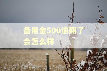 备用金500逾期了会怎么样