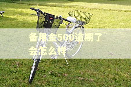 备用金500逾期了会怎么样