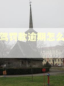 酒驾罚款逾期怎么处理