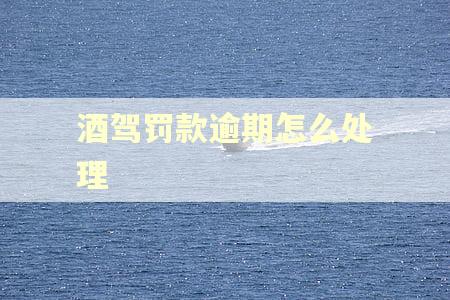 酒驾罚款逾期怎么处理