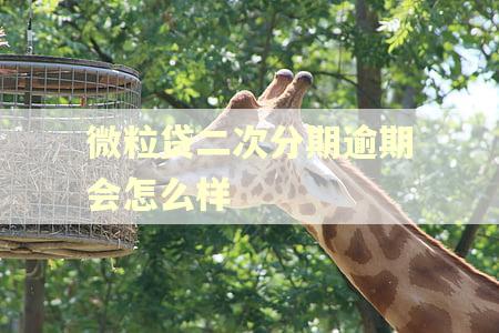 微粒贷二次分期逾期会怎么样