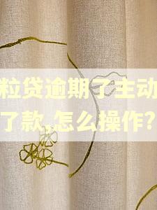 微粒贷逾期了主动还不了款,怎么操作?
