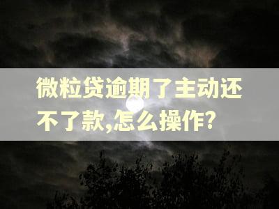 微粒贷逾期了主动还不了款,怎么操作? 微粒贷逾期了主动还不了款,怎么操作?