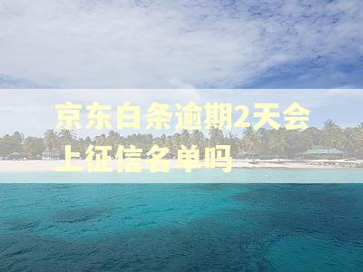 京东白条逾期2天会上征信名单吗