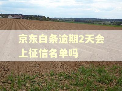 京东白条逾期2天会上征信名单吗