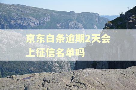 京东白条逾期2天会上征信名单吗 京东白条逾期2天会上征信名单吗