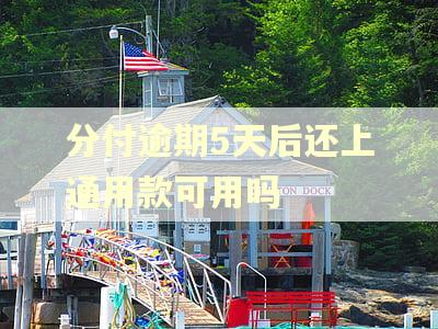 分付逾期5天后还上通用款可用吗