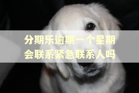 分期乐逾期一个星期会联系紧急联系人吗