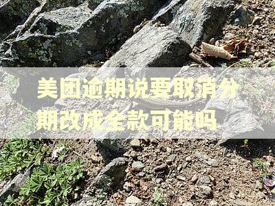 美团逾期说要取消分期改成全款可能吗 美团逾期说要取消分期改成全款可能吗