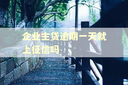 企业主贷逾期一天就上征信吗
