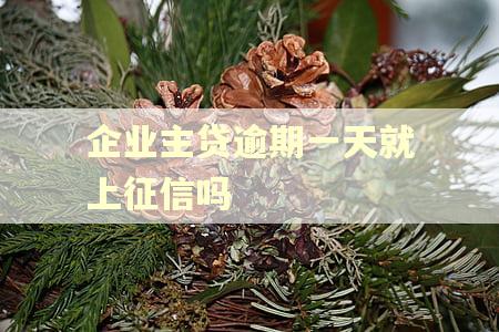 企业主贷逾期一天就上征信吗