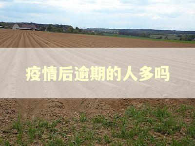 疫情后逾期的人多吗