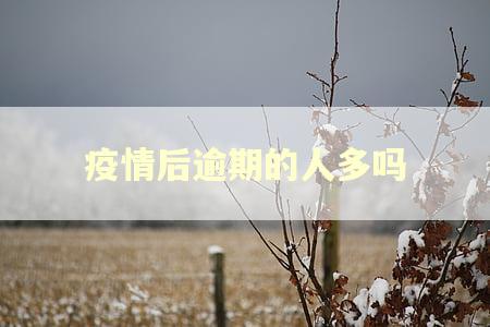 疫情后逾期的人多吗