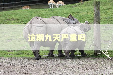 逾期九天严重吗