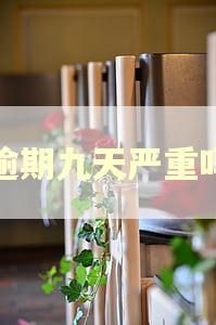 逾期九天严重吗