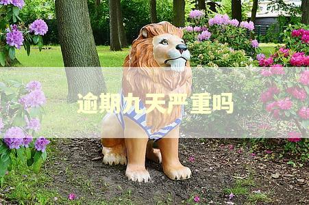 逾期九天严重吗